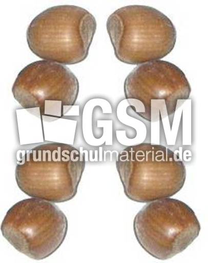 Haselnüsse-4x2.jpg